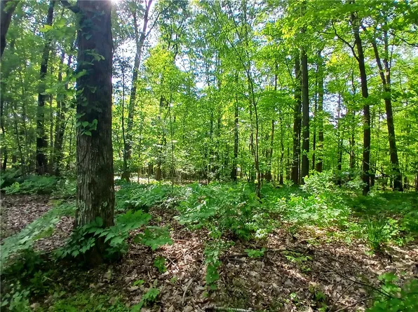 0 Weatherwood Ln, Ligonier, PA 15658