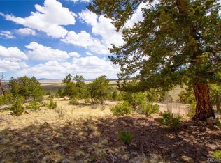 283 Ladigo Ln #569, Hartsel, CO 80449