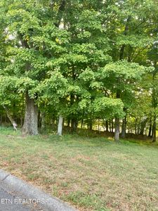 664 Fort Hill St, Loudon, TN, 37774