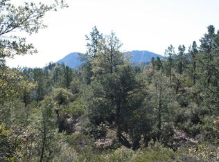 408 S Genius Loci, Payson, AZ 85541