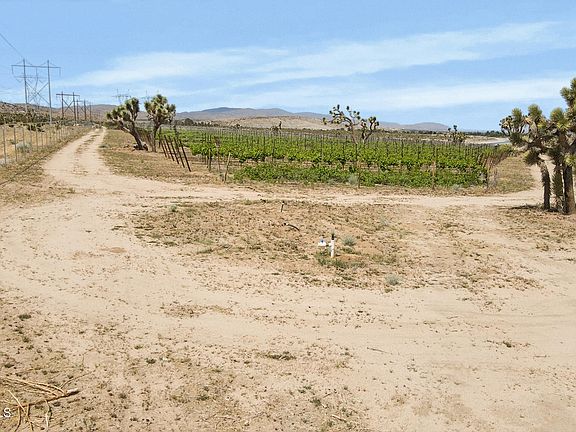 5th image of 0 Fort Tejon Vic 82nd Ste Rd