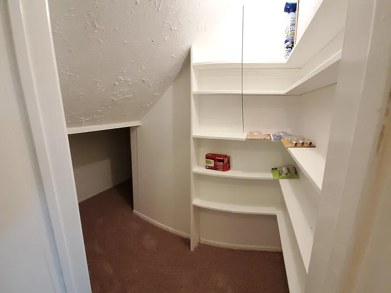 Downstairs Closet Under Stairs