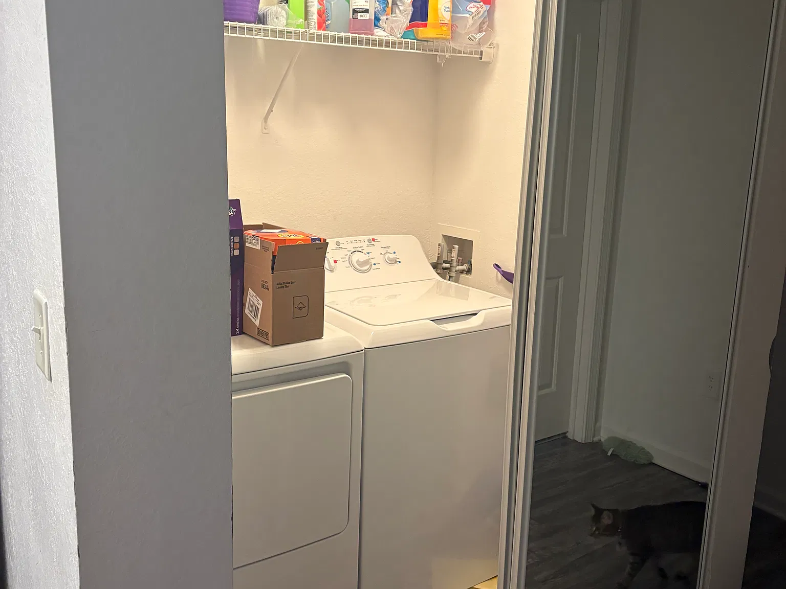 2 bed, $1,617 — Photo 4