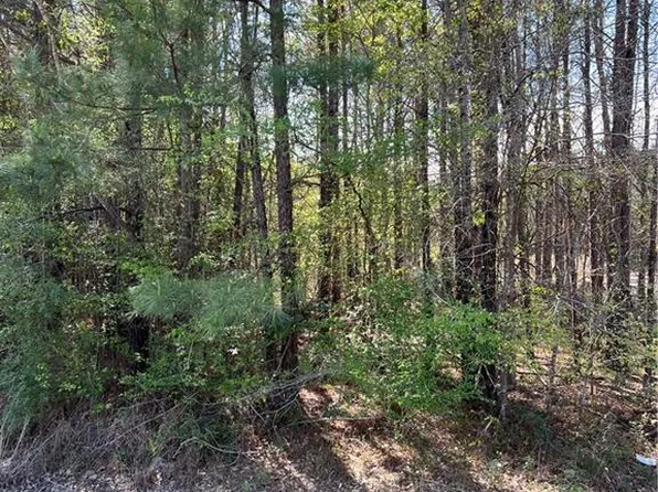 0 Highway 479, Goldonna, LA 71031