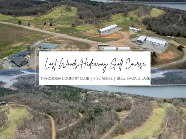 000 Country Club Drive, Theodosia, MO 65761