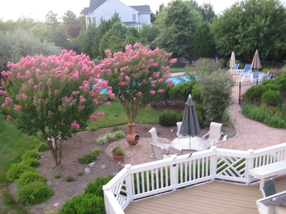4th image of 5500 Lick River Ln