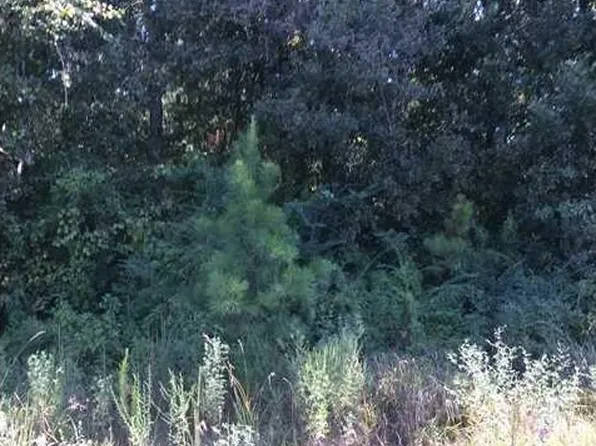 Saint Stephens Rd, Mobile, AL 36612