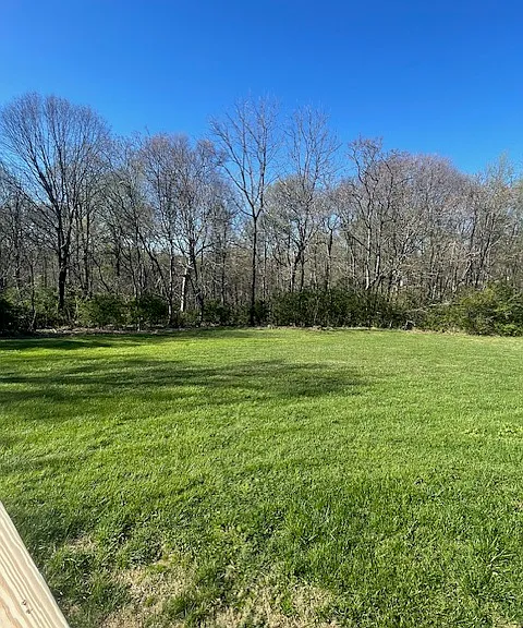 View from deck