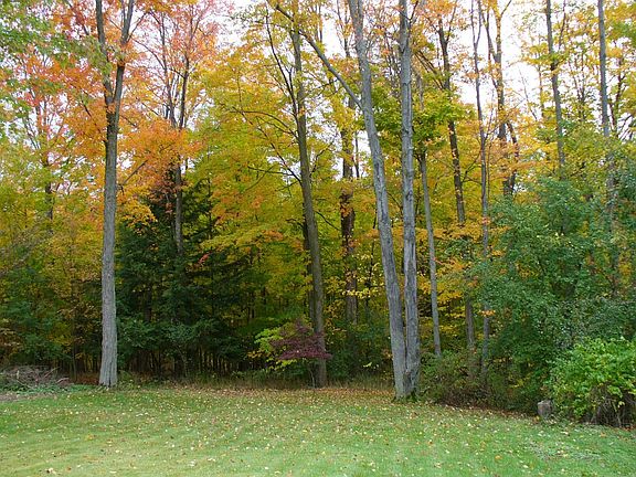 Beautiful Private yard