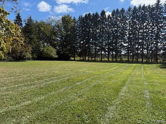 2nd image of McLean Rd #9