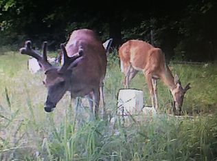 1389 Peaceful Ln, Yellville, AR 72687