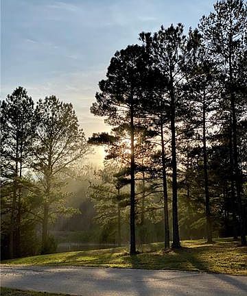 4th image of 1210 Mooreland Wood Dr #10