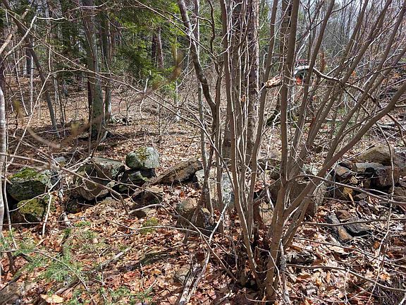 3rd image of Map 41 Lot 21 Jewett Road