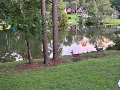 2141 Amanda Mae Ct, Tallahassee, FL, 32312