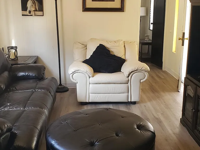 Living area, leather couch and leather recliner