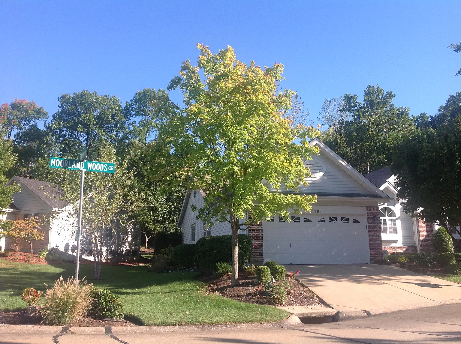 11965 Moorland Woods Cir photo 1