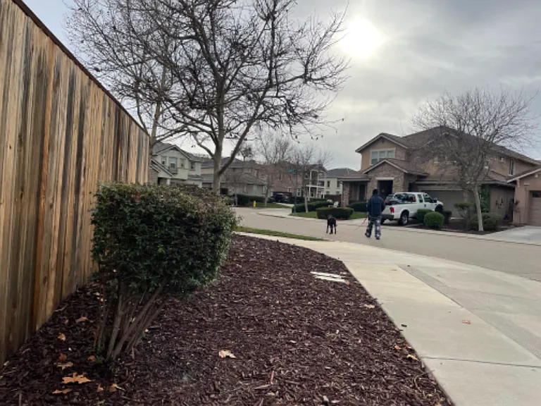 9454 California Oak Cir — Photo 8