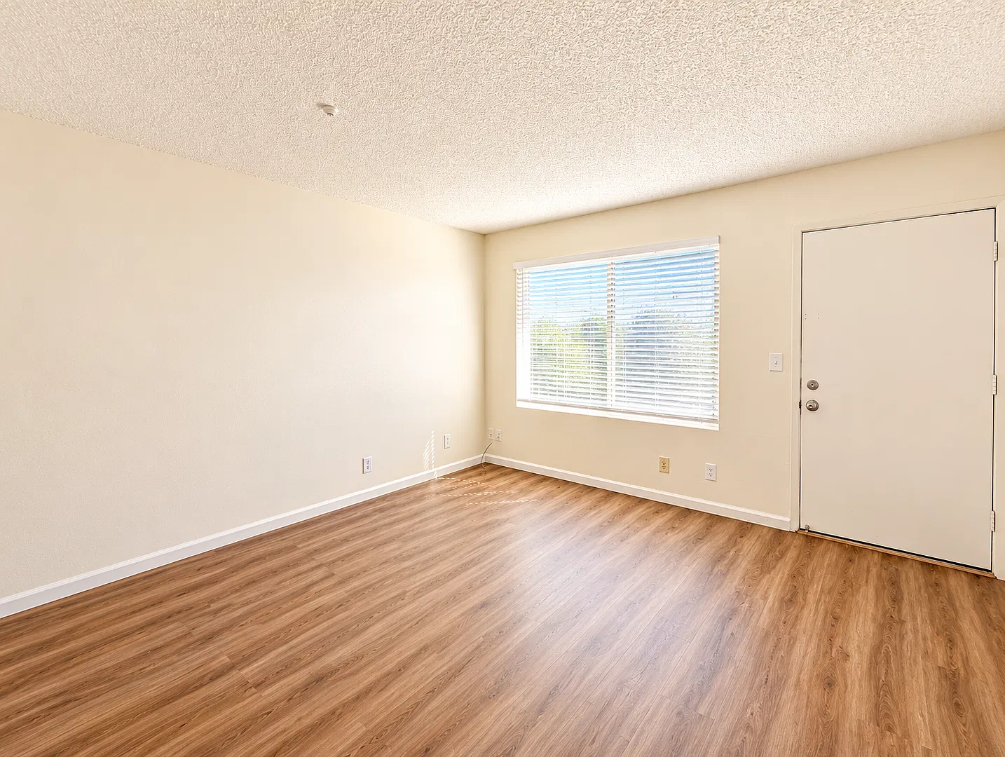 Cozy 1-Bedroom Apartment in Santa Rosa — Photo 3