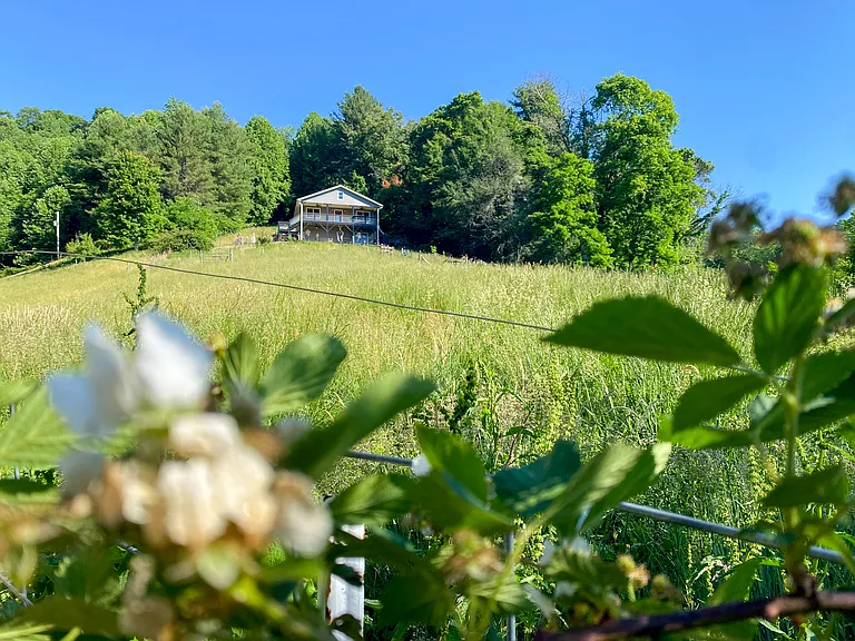 8 acres of woods and sloped pasture land in front of the house