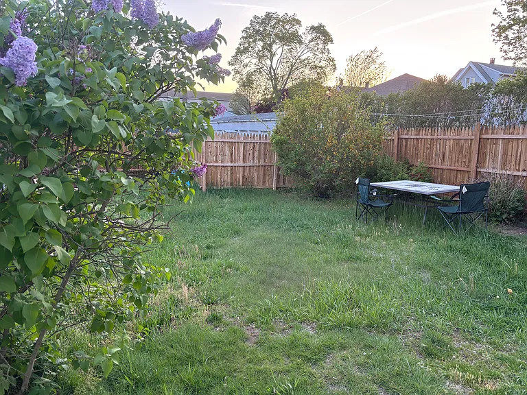 Yard