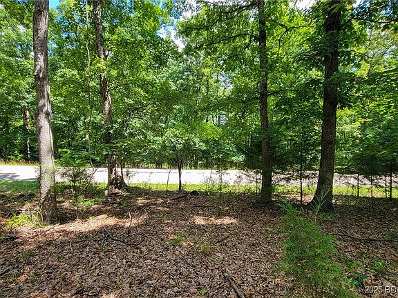 3rd image of 1240 Spring Creek Dr