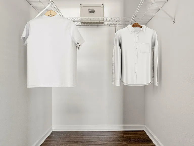Premium Upgrade - Walk-in Closet