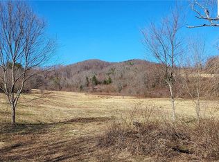 2900 Gladys Fork Rd, Ferguson, NC 28624