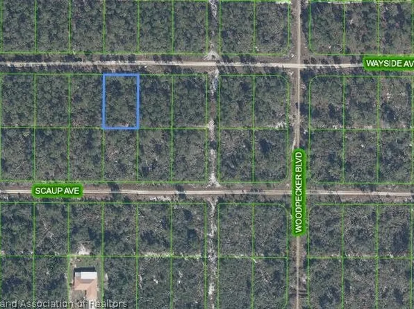 517 Wayside Ave, Sebring, FL 33872
