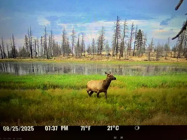 Mud Lake, Macdoel, CA 96058