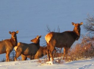 2520 Middle Fork Vis, Fairplay, CO 80440