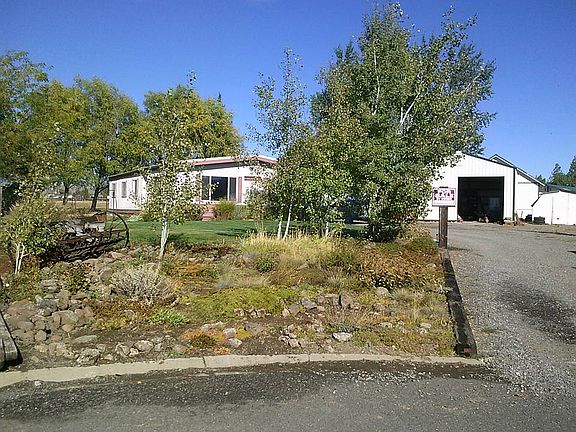 Front yard, fall 2016