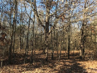 640 Gantts Grove Church Rd, Mooresboro, NC, 28114