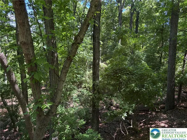 Bierys Bridge Rd, Bethlehem, PA 18017