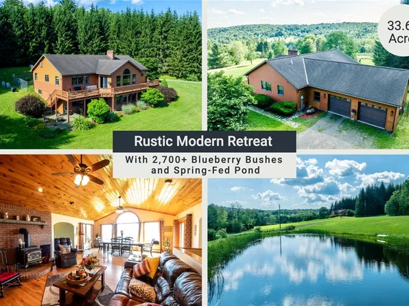 155 Hall Rd, Afton, NY 13730