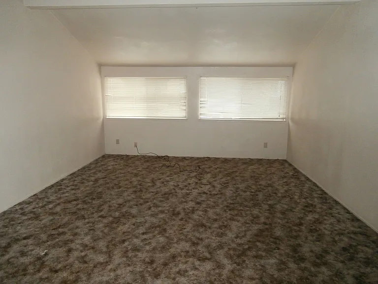 239 Sunnyhills Dr — Photo 10