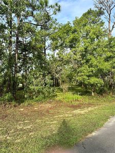 2 BARKWOOD POINT LOT 41, Homosassa, FL, 34446