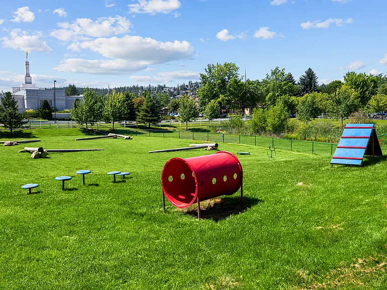 Dog Park