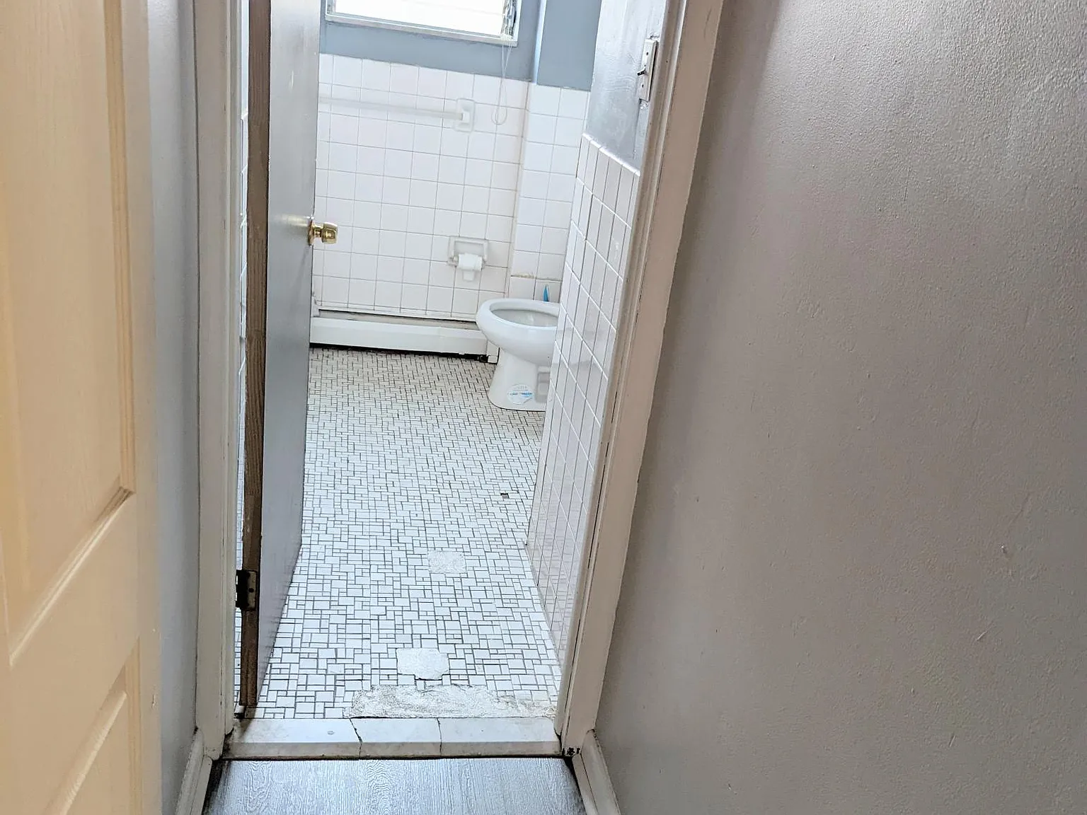 1 bed, 800 sqft, $1,150 — Photo 3