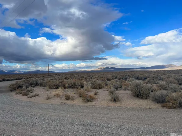 20 Acciari Rd, Smith, NV 89430