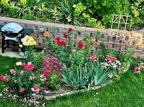 6732 W 81st Ave — Photo 24