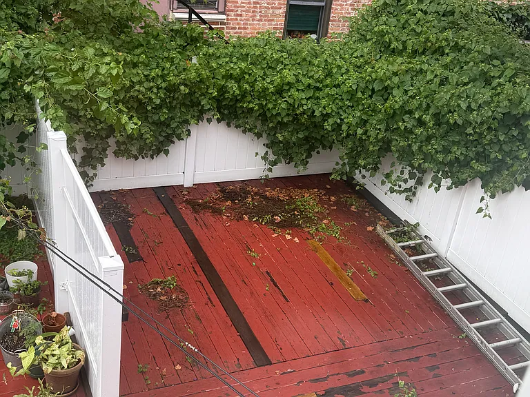 75 Dahlgren Pl — Photo 7