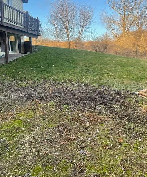 7057 Argentine Rd — Photo 5