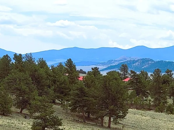 59 Zion Ct, Hartsel, CO 80449