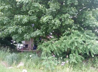 63 Shaw Rd, Bailey, MI 49303