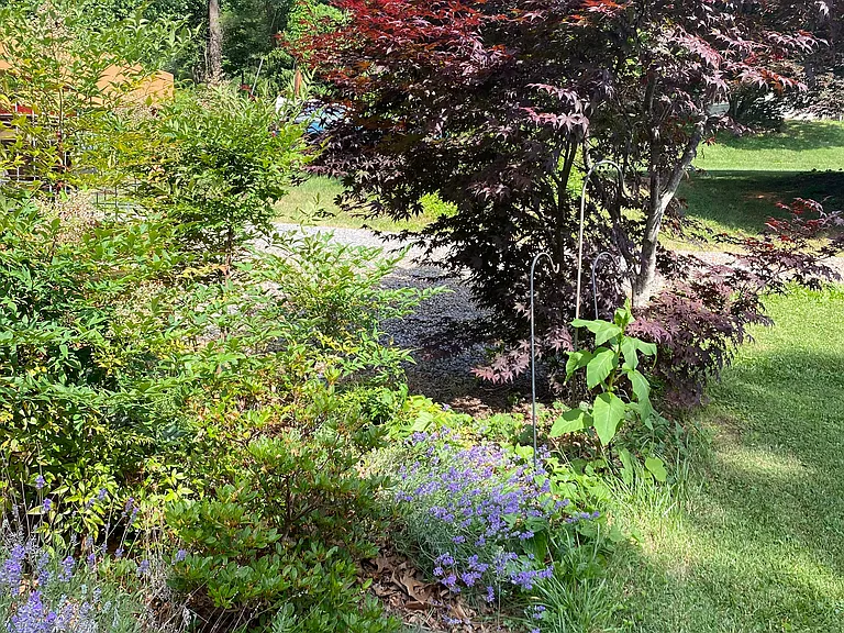 Side yard