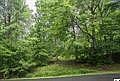 1st image of 0 Overlook Ct Lot 142