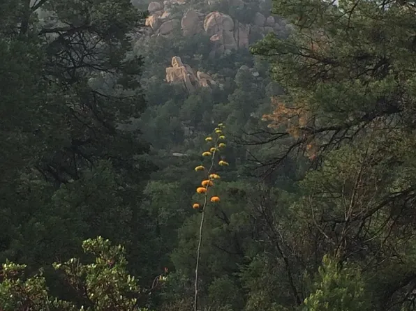 Parcel E S Paradise Lane at Top of World Road #pt of 005c-, Miami, AZ 85539