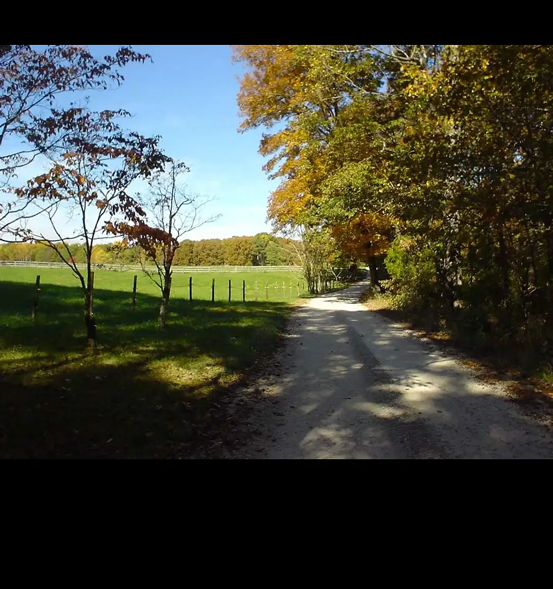 1 bed, 750 sqft, $1,800 — Photo 2
