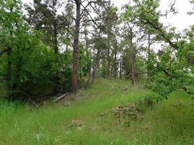 13737 Latigo Rd, Hermosa, SD, 57744