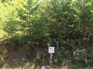 58 Old Toccoa Rd, Mineral Bluff, GA 30559